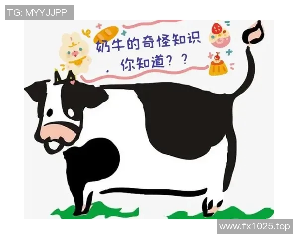 你不知道的公牛:十大冷知识大揭秘 你不知道的公牛:十大冷知识大揭秘